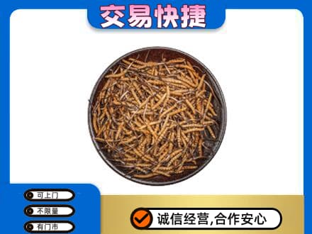 玉林市回收散虫草