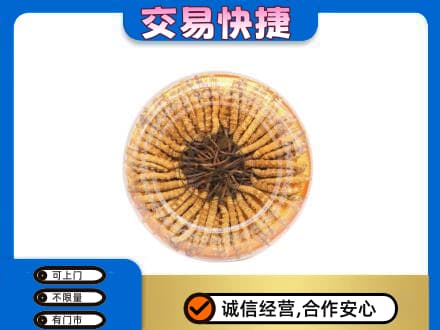 玉林市礼品回收虫草礼盒.jpg